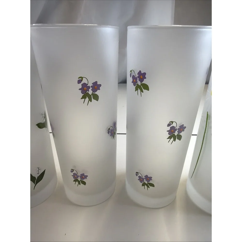 6 Dartington Designs Frosted Highball Glasses Spring Time Flowers Made In France